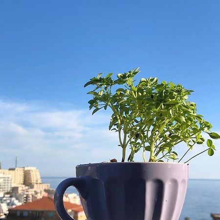 بودفا Studio Apartments Kul المظهر الخارجي الصورة