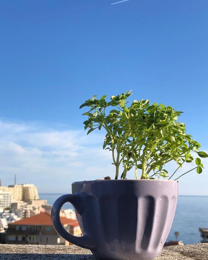 بودفا Studio Apartments Kul المظهر الخارجي الصورة